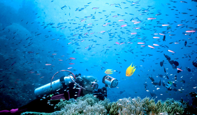 拥有漂浮在海上的披萨店的岛国斐济，不仅仅适合吃海鲜度蜜月