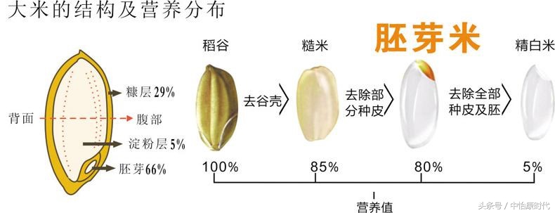 电饭锅糙米发芽功能什么意思,松下电饭煲糙米键是什么意思