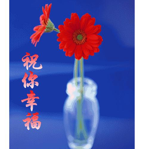 电脑键盘上每个键的用法,新手学电脑每个键功能入门教程