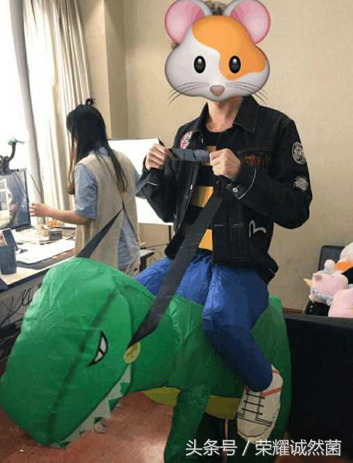 仓鼠王蓝战非熊猫舞,蓝战非为什么不和仓鼠玩了