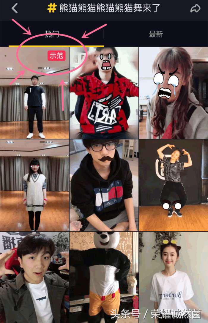 仓鼠王蓝战非熊猫舞,蓝战非为什么不和仓鼠玩了