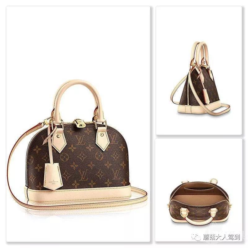 鍥藉璐墿鍥剧墖澶у叏,鍥藉璐墿鏁欑▼