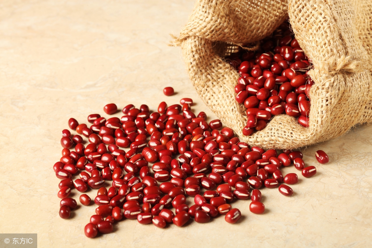 你是湿热体质吗,湿热体质最适合吃哪种食物