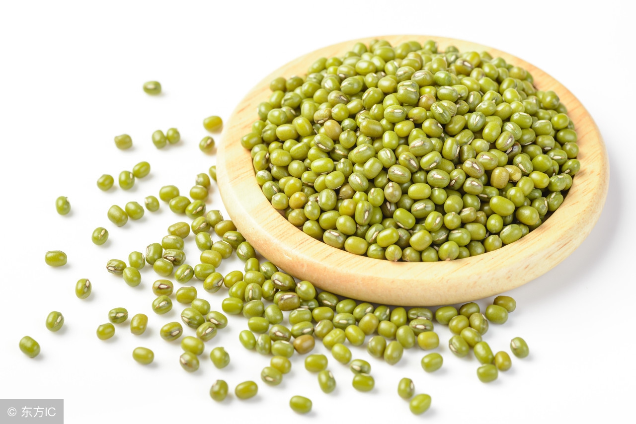 你是湿热体质吗,湿热体质最适合吃哪种食物