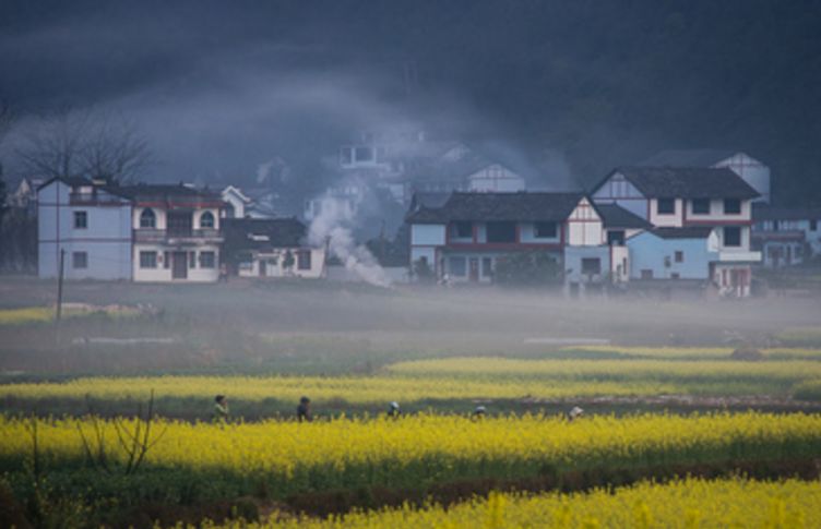 描写田园春景的诗词,描写春天美好乡村的诗句