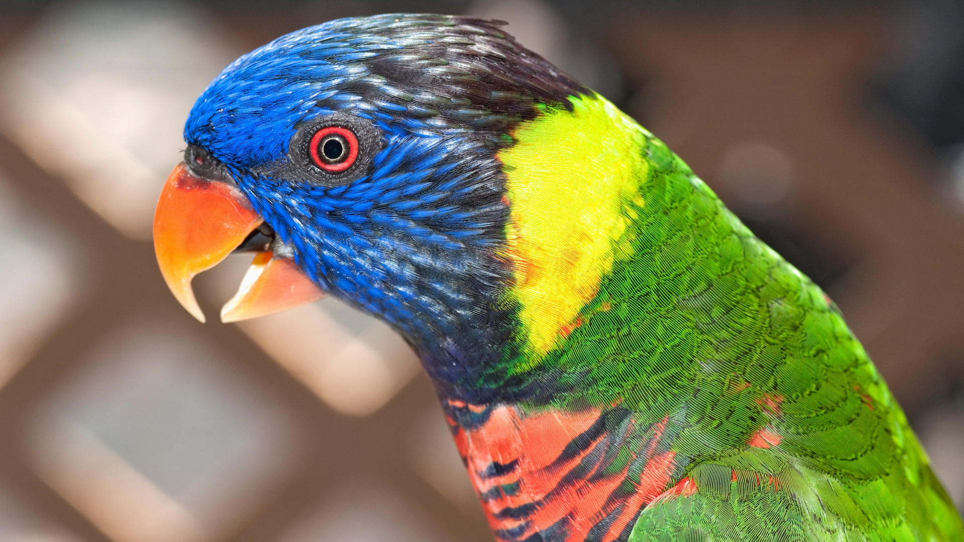 笑话一则笑死人不偿命简短,笑话二十则