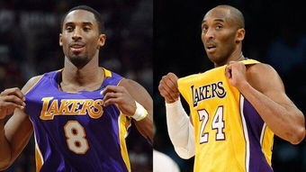 光辉岁月致敬传奇,光辉岁月科比经典体育视频