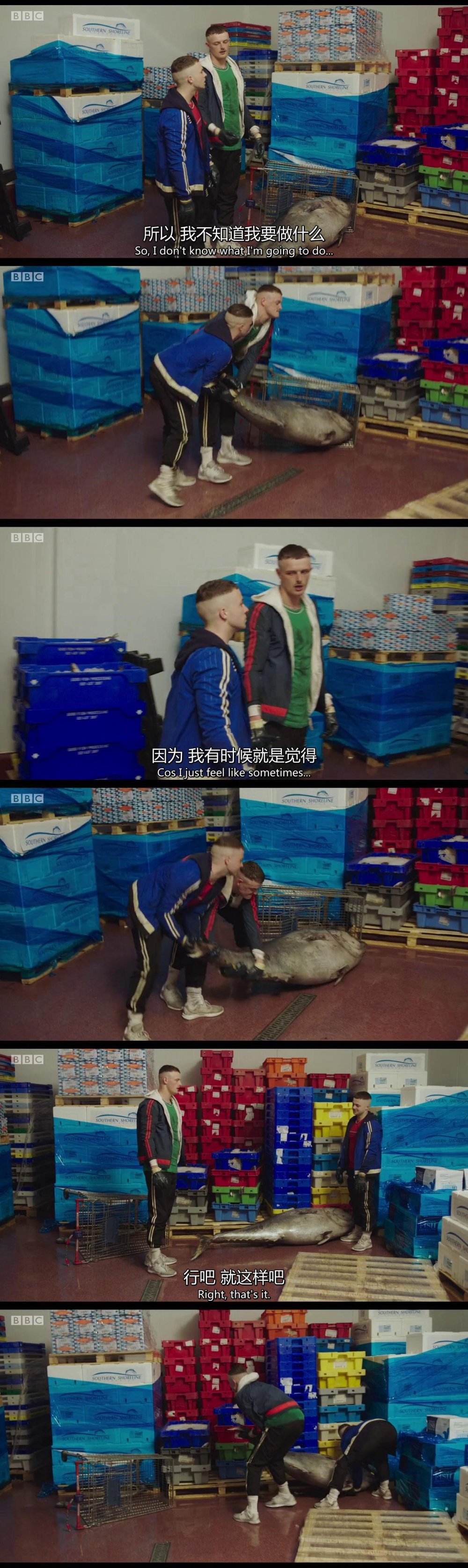 “我不是同性恋,如果是,我愿意和他搞基”