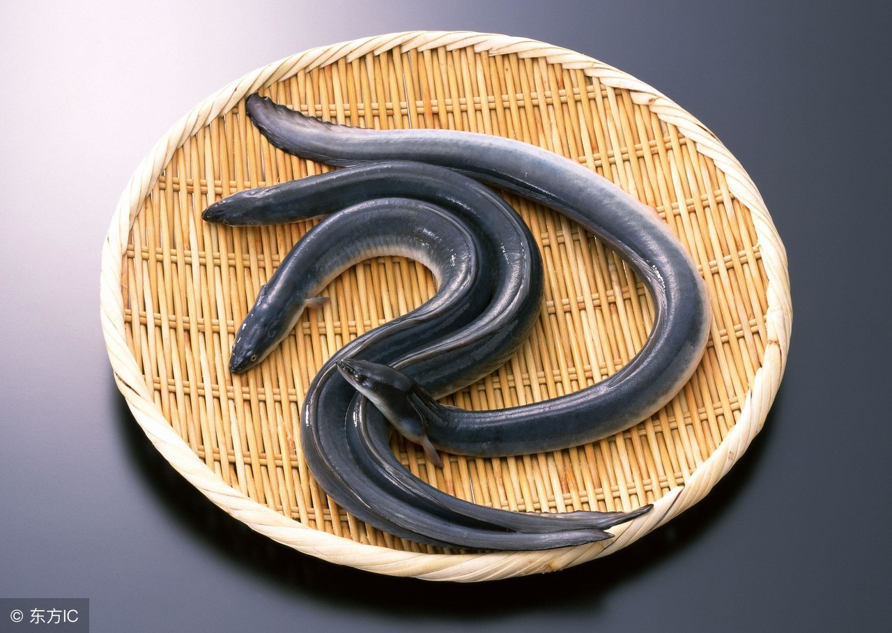 日本料理里经常点的鱼,日本料理最正宗的是什么鱼