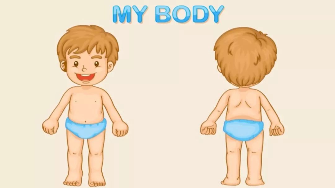 该如何给学生上性教育课,小学阶段怎么给孩子讲性教育