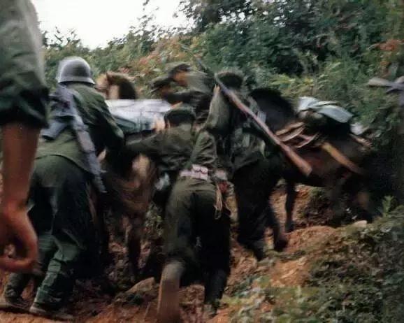 上半身像150斤下半身像120斤倒三角,上半身像150斤下半身像120斤