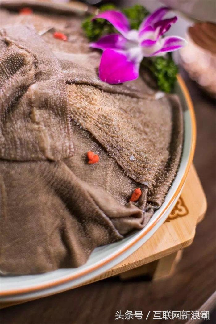 最火的火锅加盟店有哪些品牌,特色火锅加盟火锅