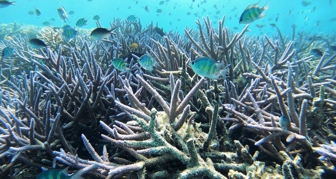 不需要做任何攻略就去的海岛国家!这样便可以玩转帕劳!