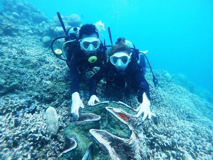 不需要做任何攻略就去的海岛国家!这样便可以玩转帕劳!