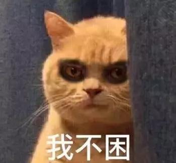 我的猫得了网瘾,还有救吗?(安利六个适合给猫玩的游戏app!)