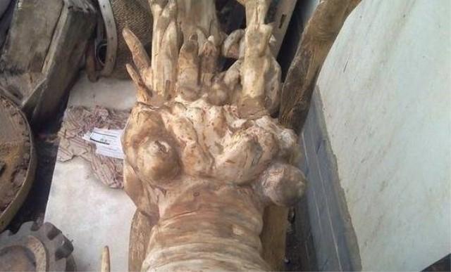 什么白手起家创业模式最好赚钱快,怎么样才能白手起家创业赚钱快