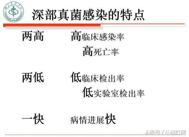 ivd基础知识大全,真菌检测要点