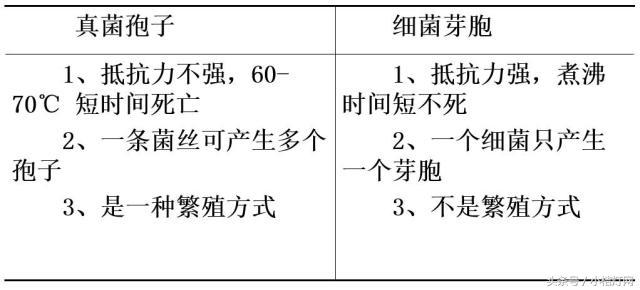 ivd基础知识大全,真菌检测要点