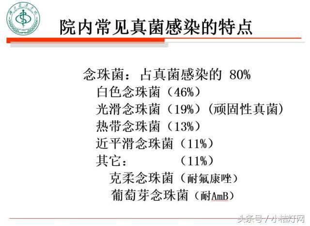 ivd基础知识大全,真菌检测要点