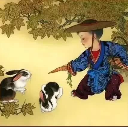 十二生肖哪个生肖的命比较好一点,十二生肖几点出生最有财气