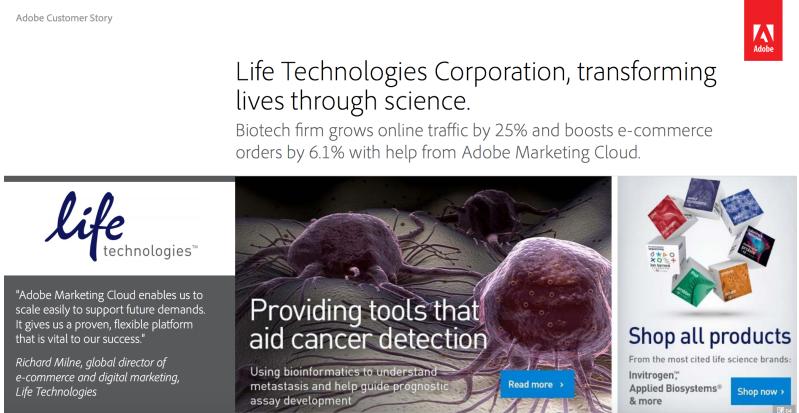 缇庡浗绗竴鐗涜偂,缇庡浗鍗佸ぇ椤剁骇鐗涜偂