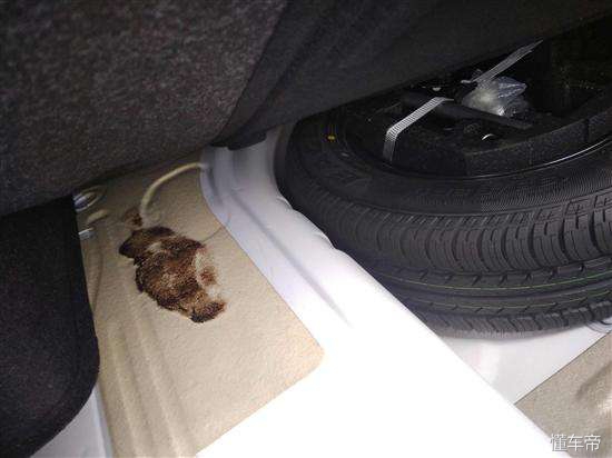 18宝来和19宝来对比,宝来大众评测