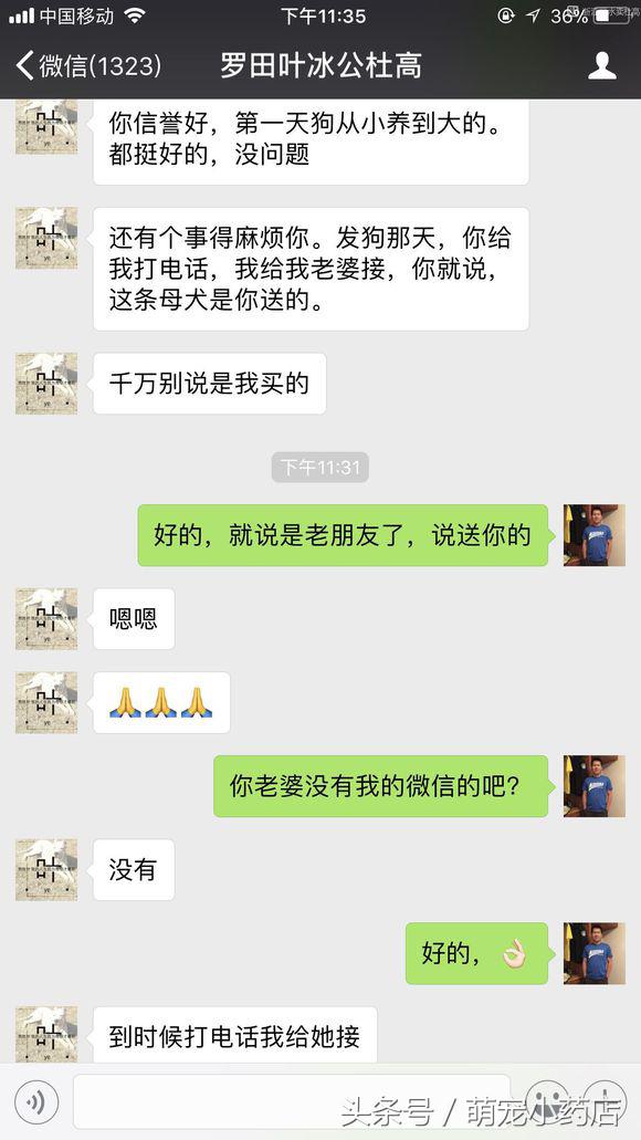 如果家里人反对你养猫怎么办,当家人反对你