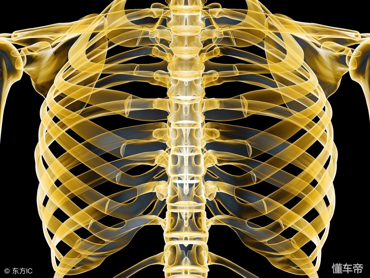 胸骨断了会瘫痪吗,胸骨断了不及时治疗