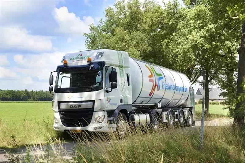 菲仕兰乳品怎么样,菲仕兰美素