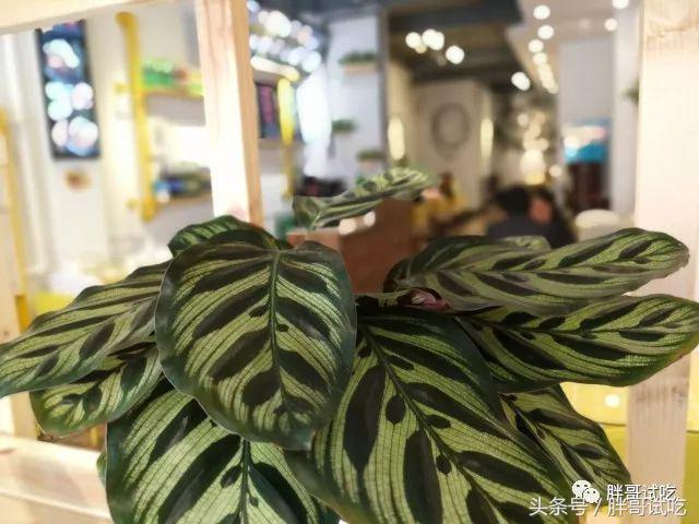 胖哥吃无骨鸡爪,胖哥试吃鸡爪