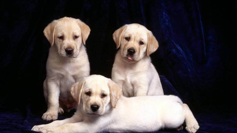 网络中那些令人惊艳的句子,幽默缓解尴尬气氛句子