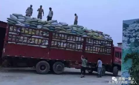 最新羊毛价格行情,羊绒和羊毛哪个价格高