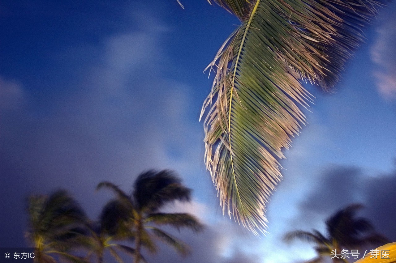 黄帝内经上古天真论详解,黄帝内经上怎么治癫狂