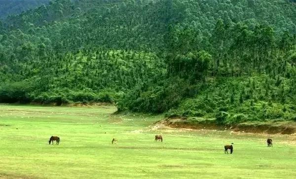 广东适合去的草原,广东附近大草原旅游攻略
