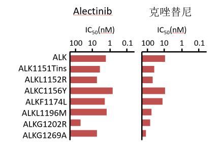 非小细胞肺癌alk驱动基因治疗,非小细胞肺癌腺癌靶向的概率