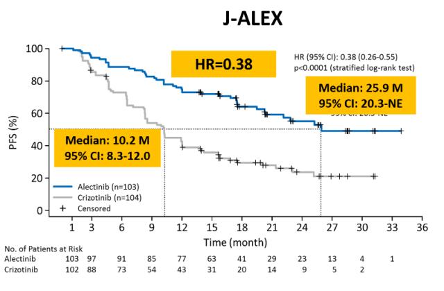 非小细胞肺癌alk驱动基因治疗,非小细胞肺癌腺癌靶向的概率
