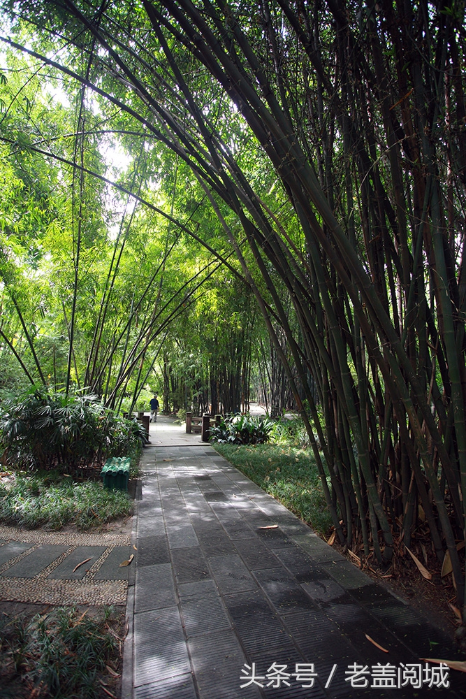 被成都遗忘的地方,成都九眼桥望江楼公园