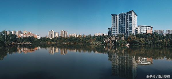 四川有哪些大学招收高水平运动队,四川省高水平运动队名单