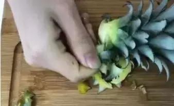 吃完的菠萝不要扔教你做盆栽,菠萝种子自制盆栽