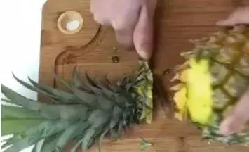吃完的菠萝不要扔教你做盆栽,菠萝种子自制盆栽