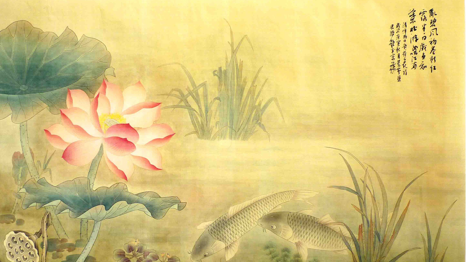 学习心理咨询的费用,心理咨询师要多少费用一个月