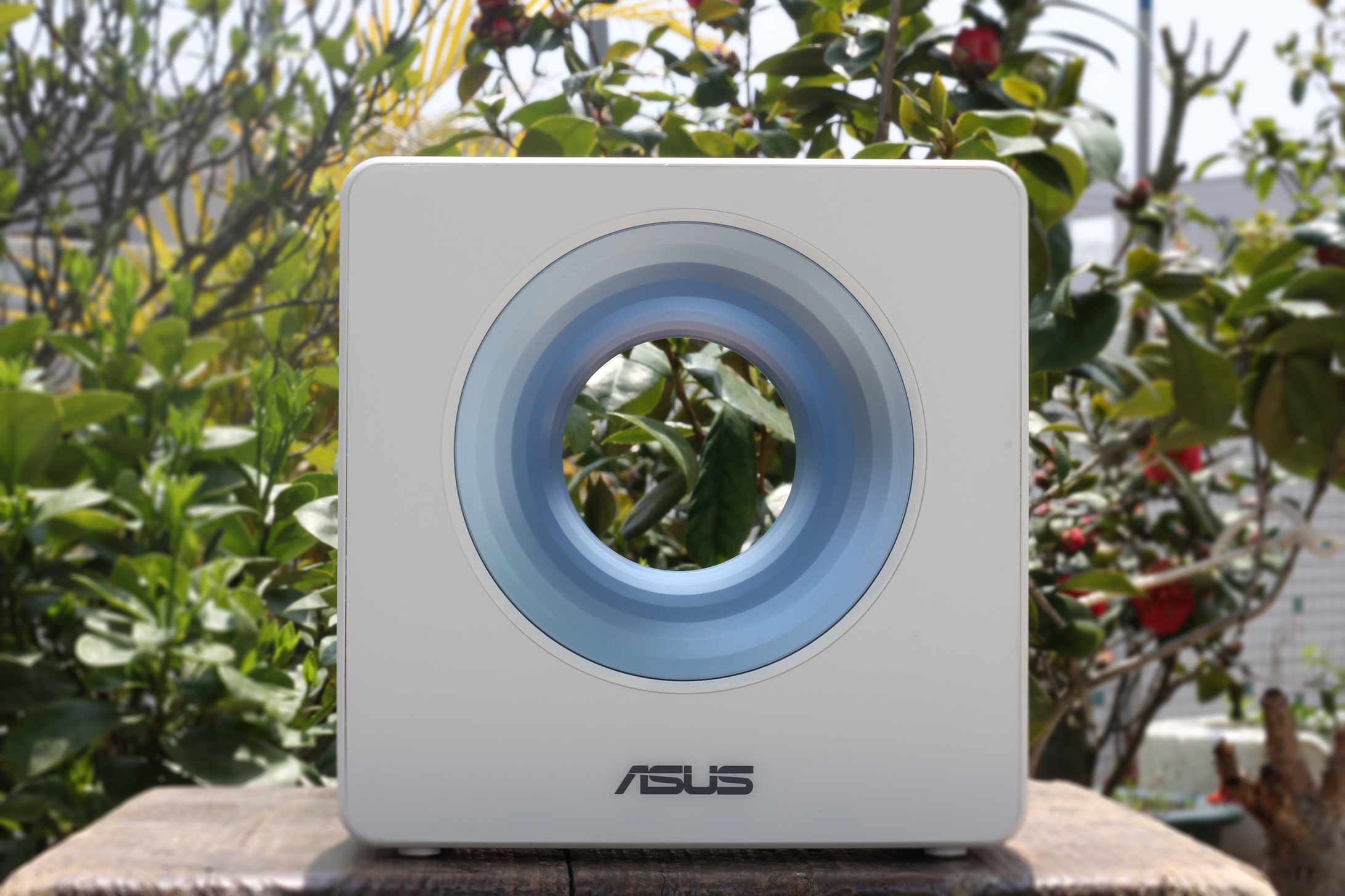 华硕路由器蓝色长亮,华硕路由器谷歌云