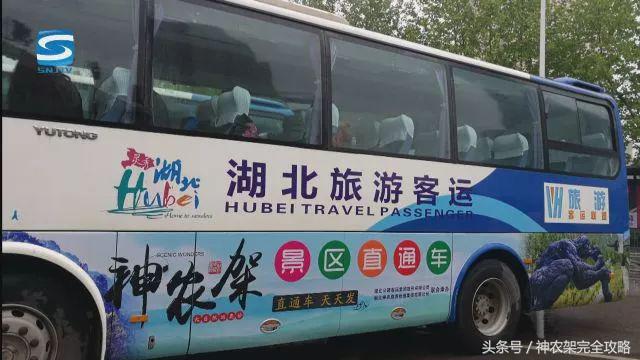 好消息！“武汉—神农架”旅游惠民直通车开通啦！