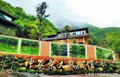 好消息！“武汉—神农架”旅游惠民直通车开通啦！