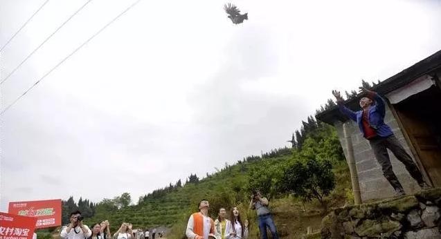 农村创业有什么生意比较好做见效,利润很吓人10个冷门创业项目农村