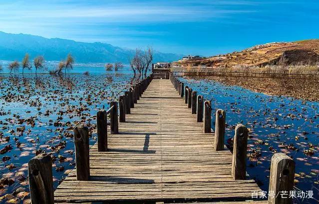 少儿脑筋急转弯大全及答案解释,15岁脑筋急转弯大全及答案