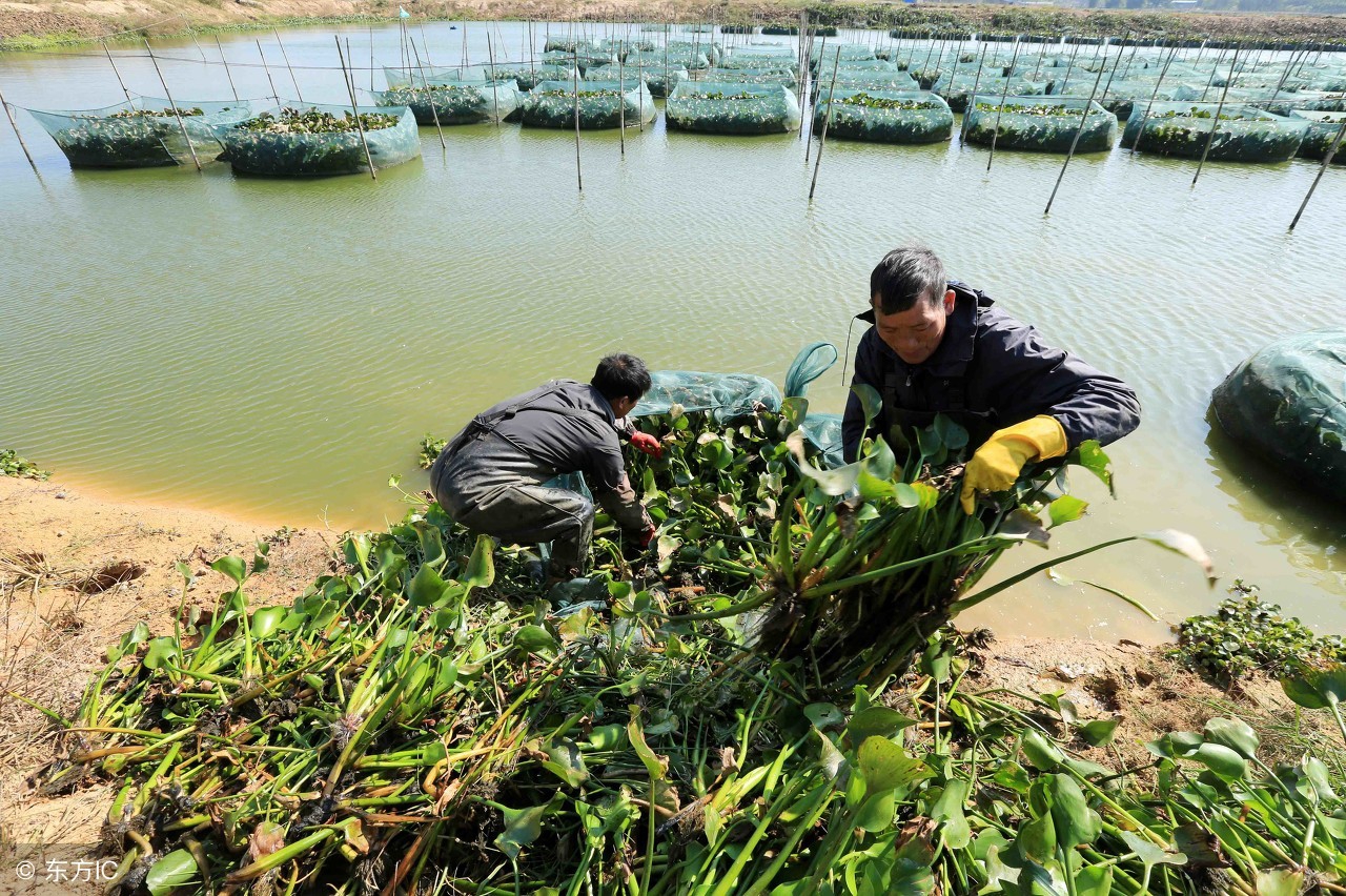 创业致富小项目靠谱吗,致富经创业项目