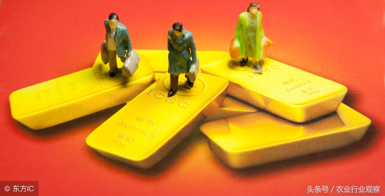 未来农业的三个方向,农业未来发展机会