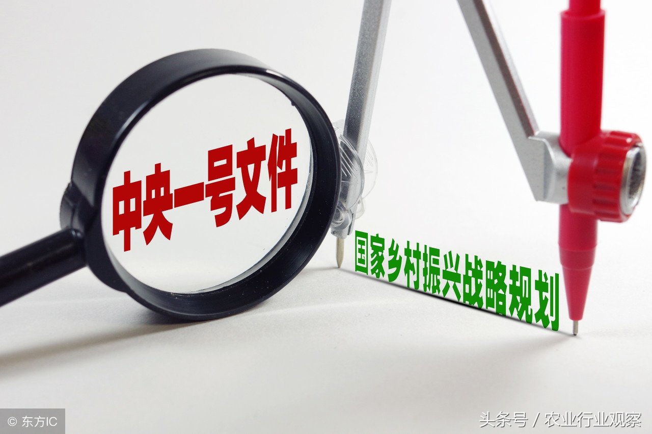 未来农业的三个方向,农业未来发展机会