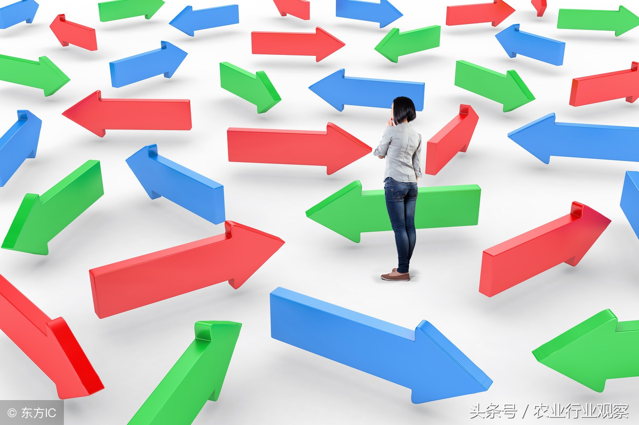 未来农业的三个方向,农业未来发展机会